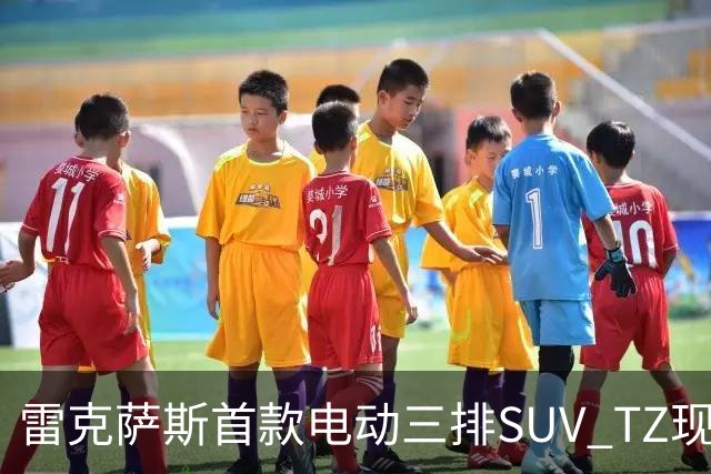 雷克萨斯首款电动三排SUV TZ现身路试引发期待